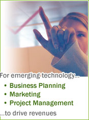 For emerging technology... business planning, marketing and project management to drive revenues